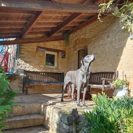 Centre Equestre Du Passe Temps Villa Dégagnac Kültér fotó