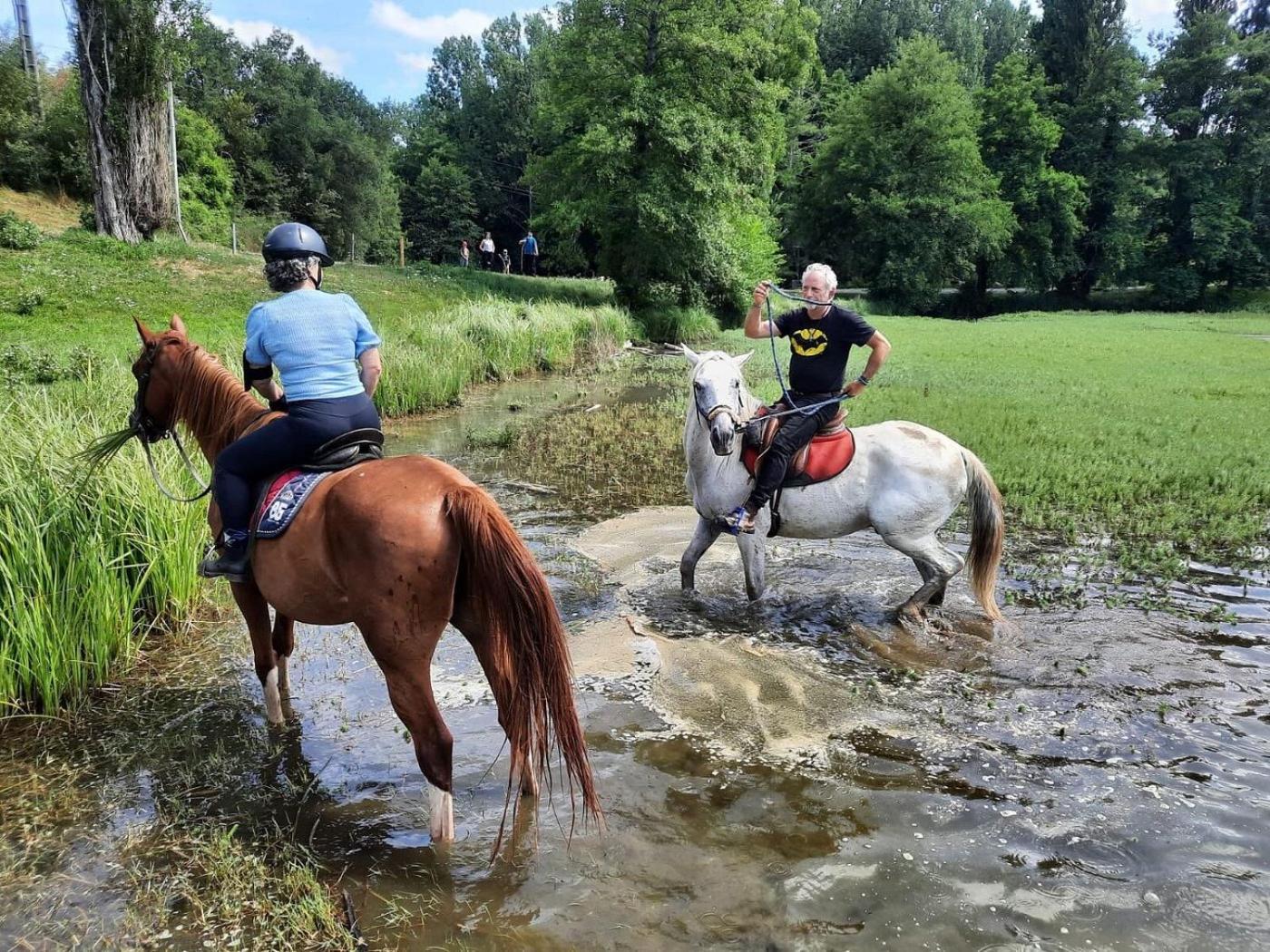 Centre Equestre Du Passe Temps Villa Dégagnac Kültér fotó