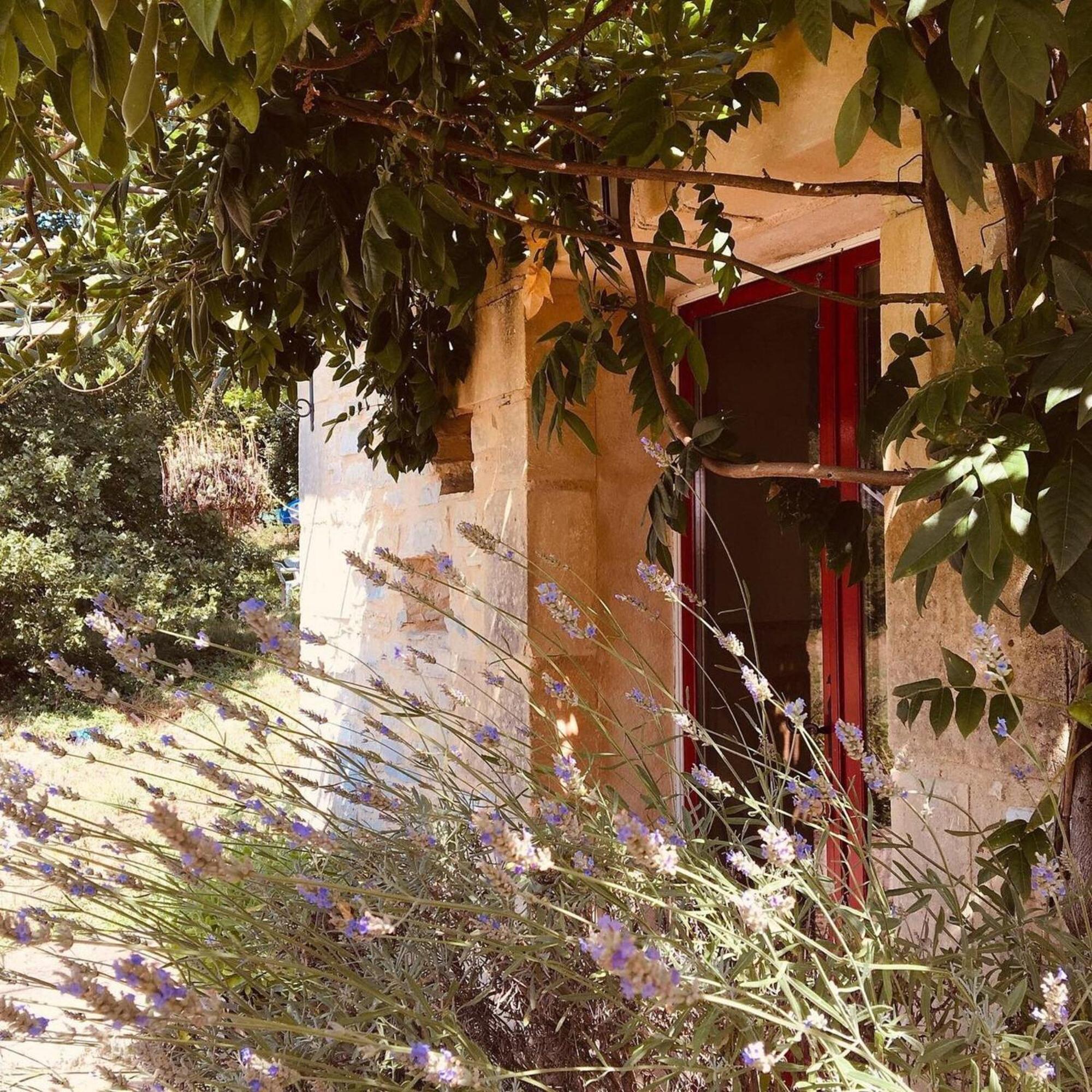 Centre Equestre Du Passe Temps Villa Dégagnac Kültér fotó